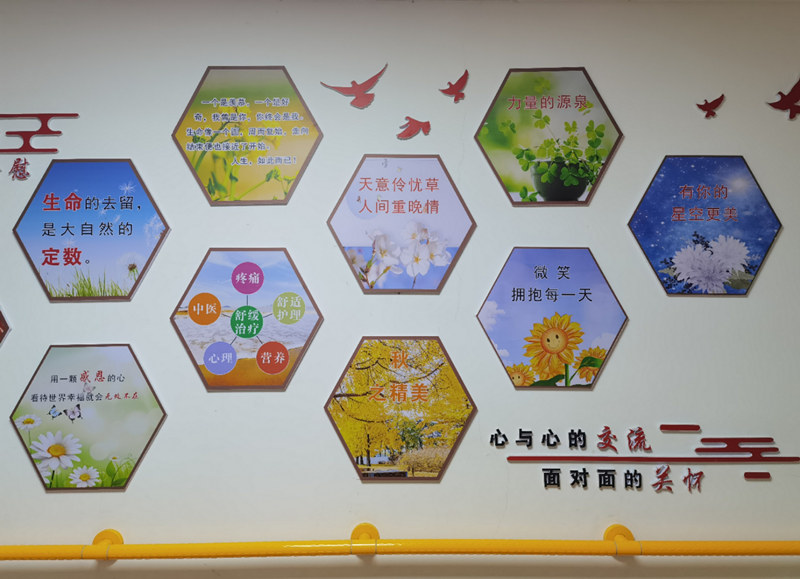 省老龄健康工作先进！省工疗成功上榜
